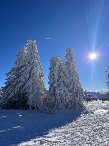 Το WOODSIDE Apartment M Kopaonik FREE Parking τον χειμώνα