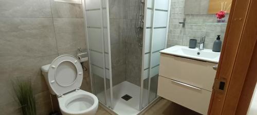 a bathroom with a toilet and a shower and a sink at Luminoso apartamento en centro del pueblo con Wifi y A' A' in Sagunto