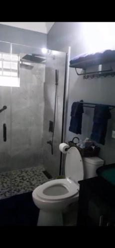 a bathroom with a white toilet and blue towels at Williams Oasis in Falmouth