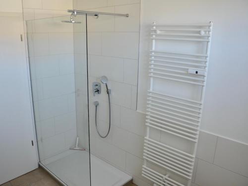 a shower with a glass door in a bathroom at Ferienwohnung 180 Grad in Wasserburg am Bodensee