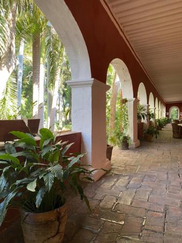 Hacienda de Teresa – Photos 2