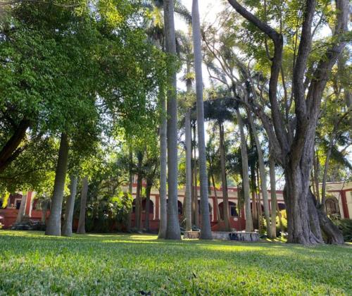Hacienda de Teresa