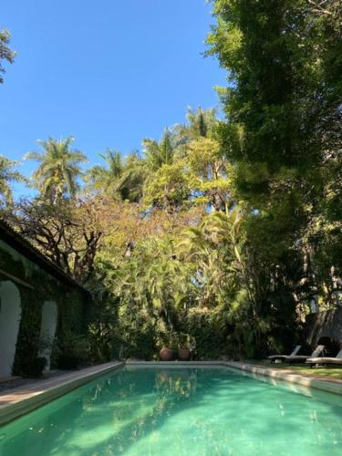 a swimming pool in a yard with trees at Hacienda de Teresa in Itzamatitlán