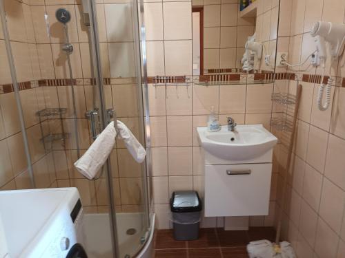 La salle de bains est pourvue d'une douche et d'un lavabo. dans l'établissement U Adama, à Wieliczka