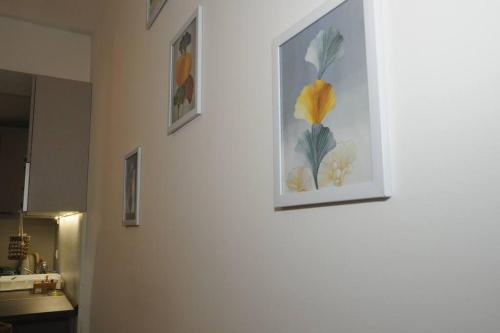 een witte muur met twee foto's van bloemen erop bij King-size bed, Free parking, kitchenette, wifi apartments in Skopje