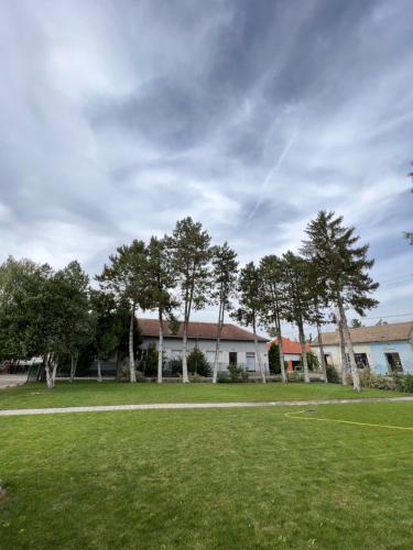 un edificio con árboles frente a un campo en Bezdan Guesthouse, en Bezdan