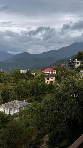 a view of a city with houses and trees at Green Side - Olegi in Batumi