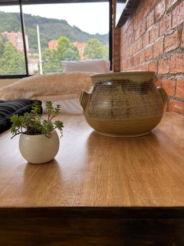 a vase and a plant on a wooden table at OPE Suites Usaquen in Bogotá