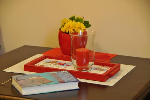 Bezdan Guesthouse في Bezdan: طاولة مع كوب و كتاب و مزهرية