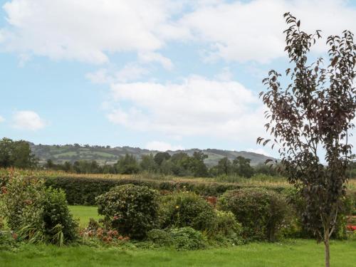 a garden with a field of bushes and trees at The Pheasant One in Usk
