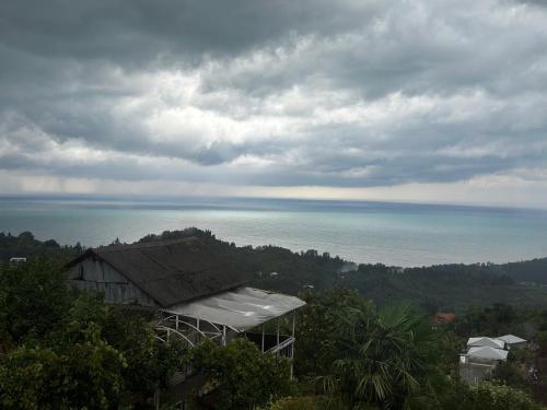 a house on a hill with the ocean in the background at Green Side - Olegi in Batumi