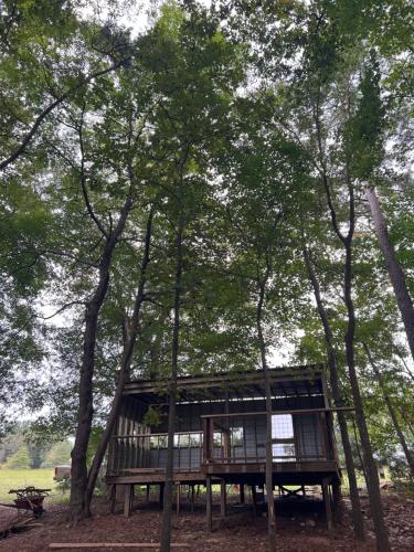 a tree house in the middle of some trees at The Happy Place In The Trees in Lake Murray Shores