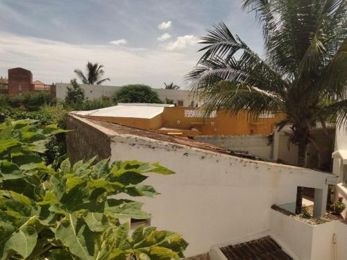 - une vue sur un bâtiment avec des palmiers et des bâtiments dans l'établissement house1, à Saly Portudal