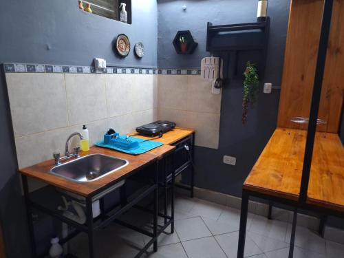 una pequeña cocina con fregadero y encimera en Lo De Mir en Salta