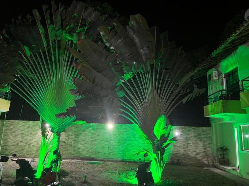 a man standing next to a palm tree at night at Férias na Bahia in Porto Seguro