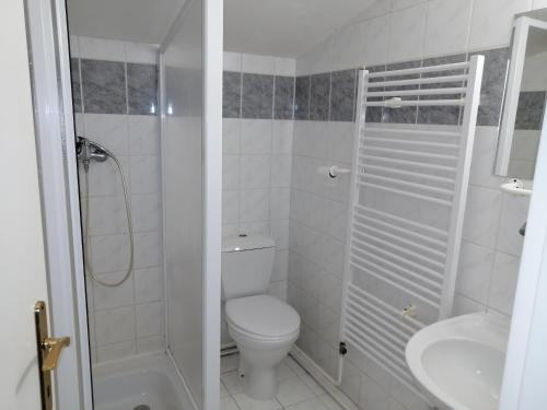 y baño con aseo, ducha y lavamanos. en Bouda Svornost Pec pod Sněžkou, en Trutnov