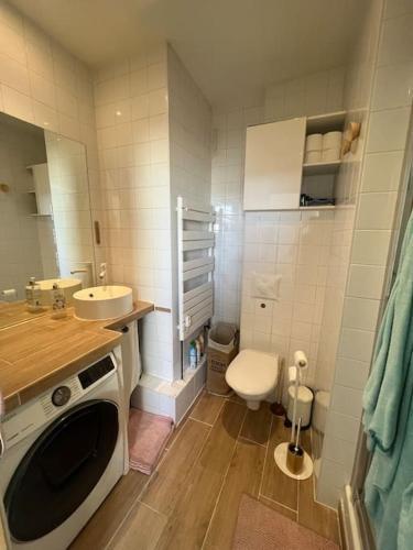 une petite salle de bain avec un lavabo et des toilettes dans l'établissement Appartement cosy orangerie, à Strasbourg