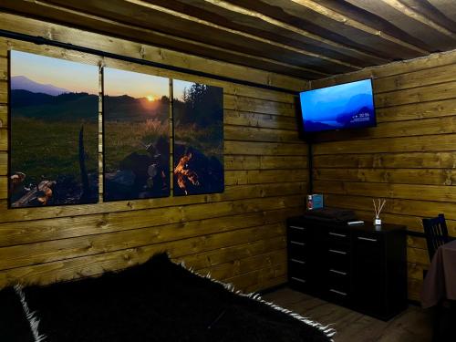 um quarto com uma lareira e uma televisão na parede em LINDEN GROVE em Vygoda