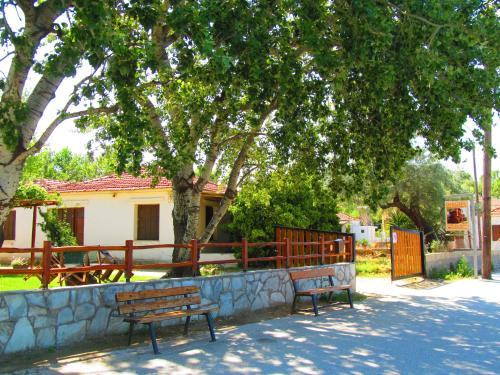 two benches sitting under a tree near a fence at Pandora Studios in Kala Nera
