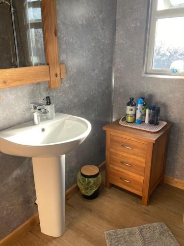a bathroom with a white sink and a wooden cabinet at Roblins Nest in Ammanford