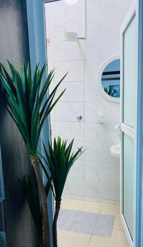 a bathroom with a palm tree in the corner of a bathroom at Pilipili Kijani Luxury homes in Mombasa