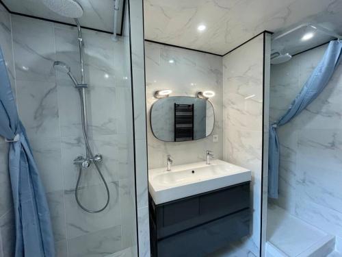 ein Badezimmer mit Dusche, Waschbecken und Spiegel in der Unterkunft Entire residence Stade de France in Aubervilliers