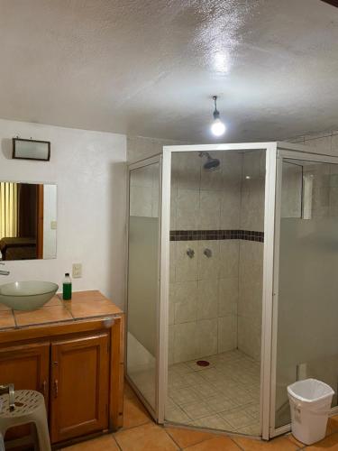 ein Bad mit einer Dusche und einem Waschbecken in der Unterkunft Cabaña Pura Vida Mazamitla in Mazamitla