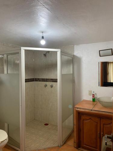 ein Bad mit einer Dusche und einer Glastür in der Unterkunft Cabaña Pura Vida Mazamitla in Mazamitla