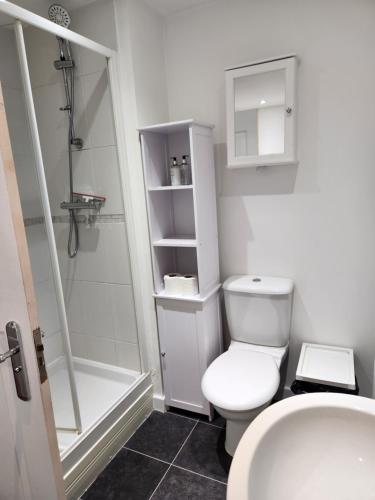 a bathroom with a toilet and a shower and a sink at Swanwick House in Broughton