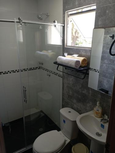 uma casa de banho com um chuveiro, um WC e um lavatório. em Condominio Palma Real em Granada