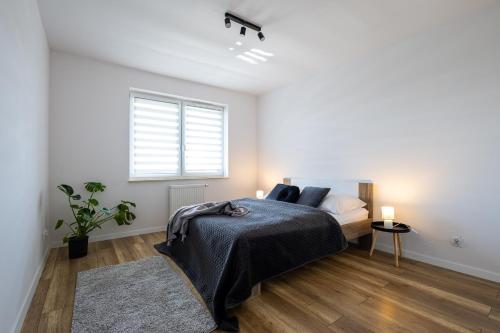 ジェシュフにあるVIP Apartamenty Lubelska IIのベッドと窓のある白い寝室