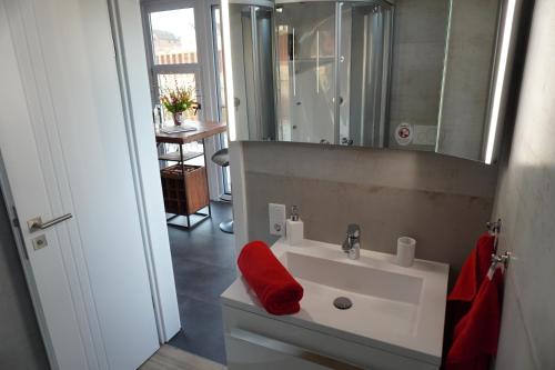 uma casa de banho com um lavatório branco e uma toalha vermelha em Hafen Perle - Übernachtungen auf dem Wasser- Romantik & Wellness auf dem Rhein - em Leverkusen