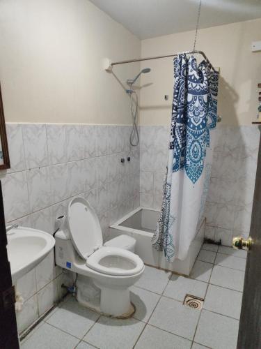 a bathroom with a toilet and a sink and a shower at Alma Patagona Hostel in Puerto Tranquilo
