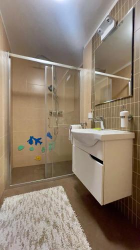 a bathroom with a shower and a sink and a mirror at Horský apartmán Říčky in Wüstenei