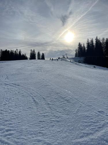 Haus Tanne Abtenau v zimě