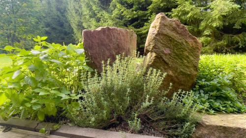 a garden with two large rocks and plants at Horský apartmán Říčky in Wüstenei