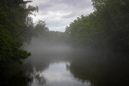 a misty river with trees on a cloudy day at Timber Bend Retreat in Evart