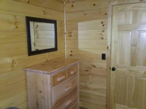 uma cabina de madeira com um espelho e uma cómoda em Timber Bend Retreat em Evart