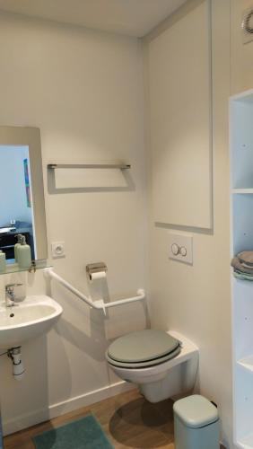 een witte badkamer met een toilet en een wastafel bij Chez Cathy et Denis in Lingolsheim