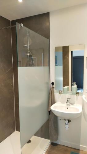 een badkamer met een wastafel en een glazen douche bij Chez Cathy et Denis in Lingolsheim