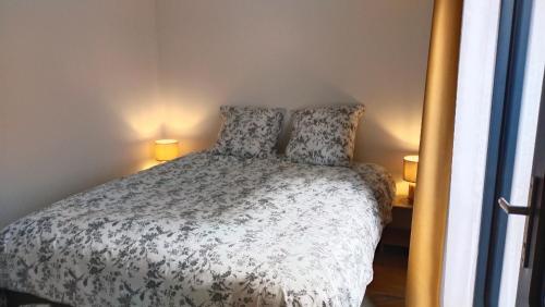een slaapkamer met een bed met 2 kussens erop bij Chez Cathy et Denis in Lingolsheim