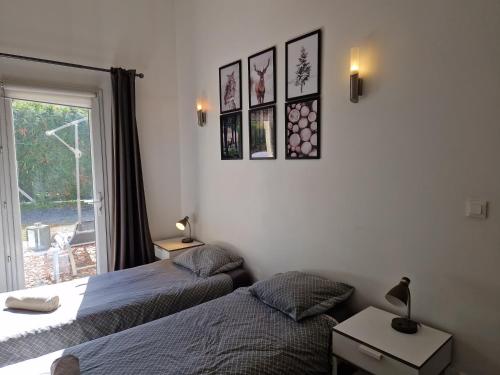two beds in a bedroom with a window and two lamps at La Meije, Chalets Reflets de Montagne in Le Bourg-dʼOisans