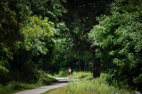 a person walking on a path through a forest at Contra' Contarini in Campolongo Sul Brenta