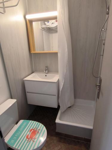 La salle de bains est pourvue de toilettes, d'un lavabo et d'une douche. dans l'établissement Studio Cabine, à Gruissan