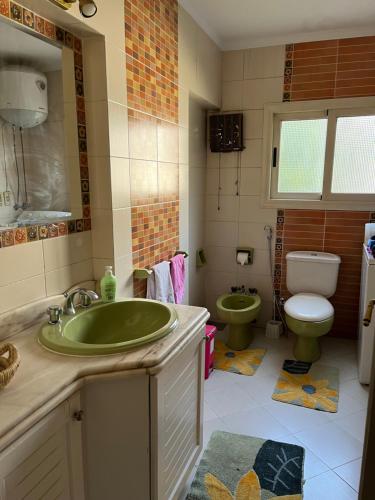 a bathroom with a green sink and a toilet at Lovely furnished 2-bedroom apartment with balcony in Cairo