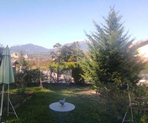 einen Garten mit einem Tisch im Gras in der Unterkunft Chambre chez l'habitant "Entre Airs et Montagnes" in Tallard