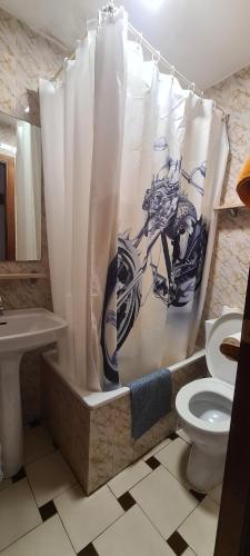 ein Bad mit einem WC und einem Duschvorhang in der Unterkunft Hostal El Molino in Calanda