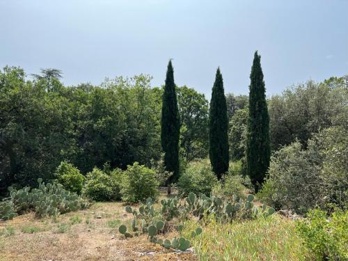 Φυσικό τοπίο κοντά σε αυτή η βίλα