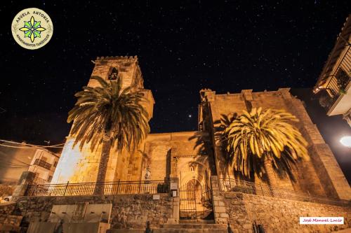 a building with a clock tower and palm trees at night at AT la abuela Antonia- Ca Pablo in Torre de Don Miguel