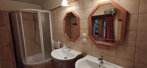 a bathroom with a sink and a shower and a mirror at Dom na Pawlikach in Rzepiska